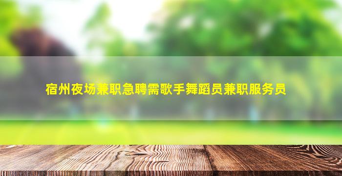 宿州夜场兼职急聘需歌手舞蹈员兼职服务员